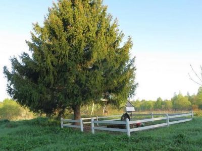 Памятный знак-стела на месте сожженной фашистами деревни Готобужи