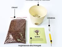 Набор для выращивания "Тысяча листьев премиум", "Адениум"