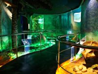 Государственный Дарвиновский музей