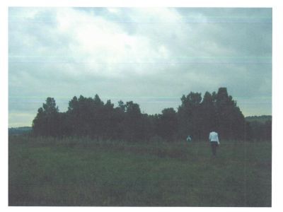 Священная роща