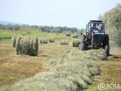 План по заготовке сена в Якутии выполнен на 61%