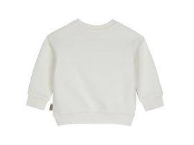 Свитшот для маленького мальчика