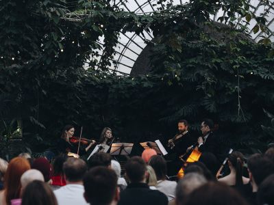 Билеты на Магия свечей. Шедевры неоклассики: от Ханса Циммера до Людовико Эйнауди в оранжерее (Оранжерея Таврического сада) / Концерт | Афиша | ИнфоТаймс