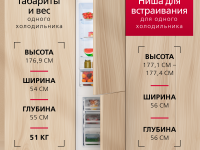 Встраиваемый холодильник Hansa SmartCombo BX600.0