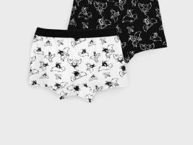 Трусы трикотажные для мальчиков - боксеры, 2 шт в комплекте