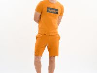 Шорты Nordski Simple Bronze