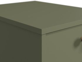 Офисная тумба Торвалль Оливковый