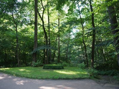 Могила Толстого Льва Николаевича (1828-1910)