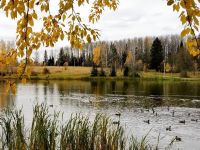 Парк культуры и отдыха «Ермак»