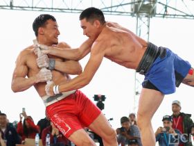 Завершились соревнования по мас-рестлингу и якутской вертушке на Играх Манчаары