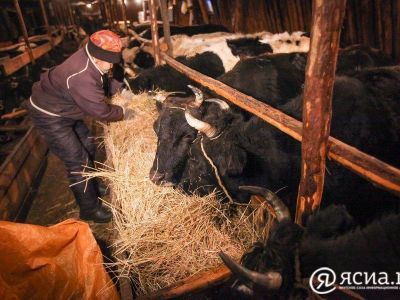 Глава Чурапчинского улуса принял участие в коллегии Минсельхоза Якутии