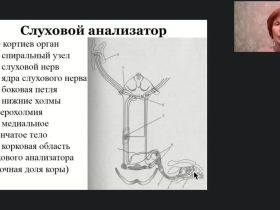 Международный вебинар "Анатомия, физиология и патология органов слуха, речи и зрения"