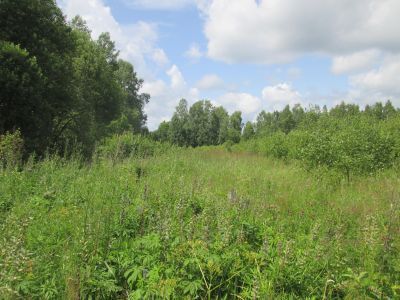 Памятное место, где с 25 июля по 5 сентября 1941 г. действовал первый районный партизанский отряд