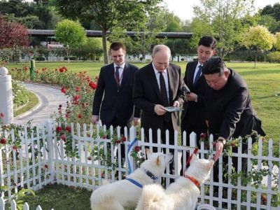 Отличаются умом и сообразительностью: что известно о собаках, которых подарили Путину в Корее