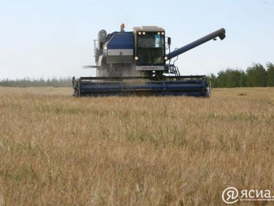 Россия с 1 декабря введет запрет на экспорт твердой пшеницы