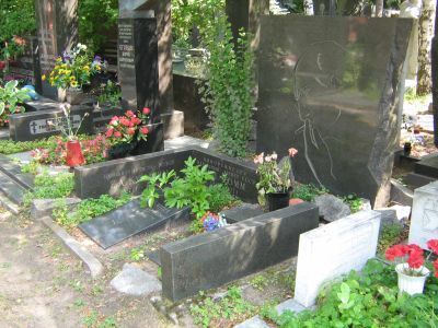 Могила Ромма Михаила Ильича (1901-1971), кинорежиссера, сценариста