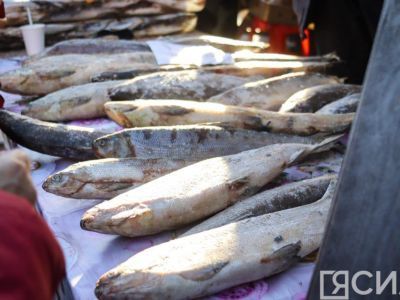 Импорт рыбы в России в 2023 году может вырасти более чем на 60%