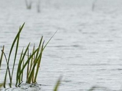 По факту гибели пятилетнего ребенка в Таттинском районе проводится процессуальная проверка
