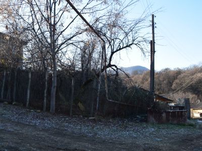 Кладибще тухума Амировых