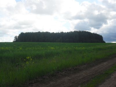 Священная роща