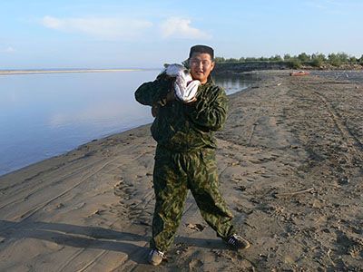 Рыбалка на Лене в районе устья реки Вилюй. Трофейная рыбалка (щука, ленский осетр) с проживанием на турбазе.