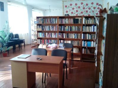 Раздольевская сельская библиотека-филиал № 50