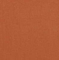 Бумага для пастели "Палаццо" 70x100 см 160 г терракота