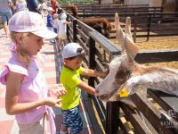 Экокомплекс «Казеевка»