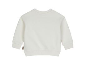 Свитшот для маленького мальчика