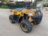 Квадроцикл YACOTA Smarty 110