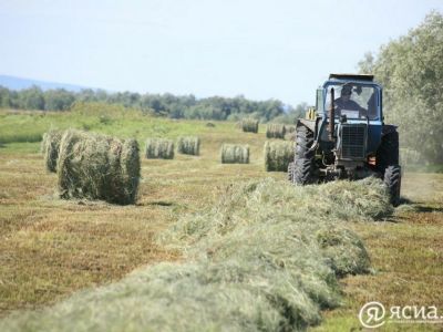 В Якутии план по заготовке сена выполнен на 99%