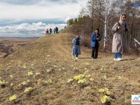 Весеннее пробуждение. Пешая экскурсия по Табагинскому Мысу