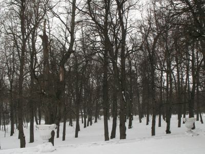 Остатки парка