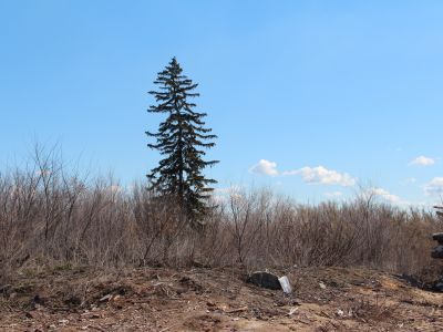 Дом, который неоднократно посещался И.Н.Ульяновым при инспектировании им школ в 70-е годы ХIХ в. Дом описан писателем Скитальцем в романе «Дом Черновых»