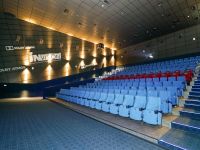 Кинотеатр Pioneer Cinema