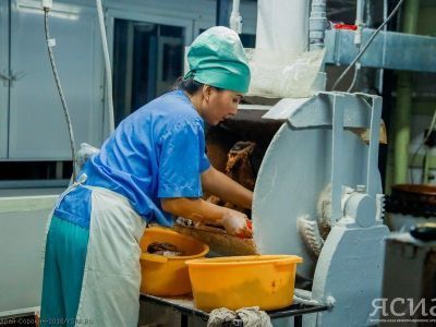 Якутия вошла в число регионов с высокой производительностью труда за 2022 год