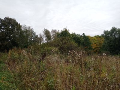 Место бывшей усадьбы поэта-демократа Н.П. Огарева