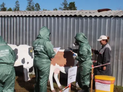 Командно-штабные учения ветеринарных служб прошли в Якутии