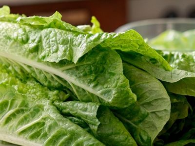 Салат романо: зеленый король на вашем столе