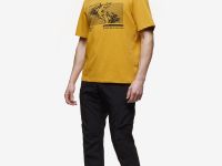 Футболка BASK