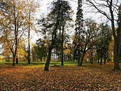 Остатки парка