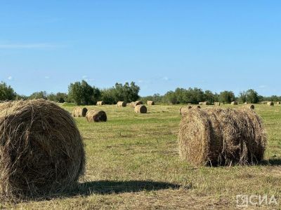 Более 360 тысяч тонн сена заготовили в Якутии