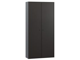 Распашной шкаф Сайрис 2-98x202 Черный