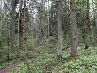 Усадьба М.А. Токарского "Заветное"