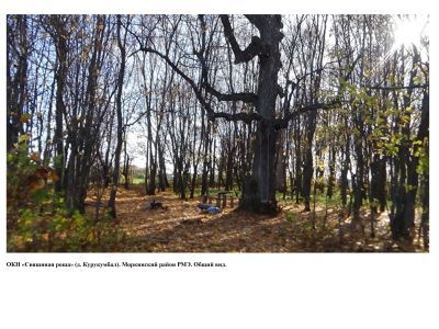 Священная роща