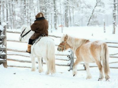Более чем на 600 миллионов рублей вырастет господдержка сельского хозяйства в 2025 году в Якутии