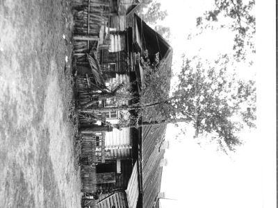 Флигель (дерево)