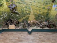 Темрюкский историко-археологический музей