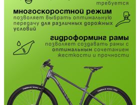 Горный велосипед Atom Bion Nine 20, год 2024, цвет Серый, ростовка 20