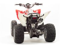 Квадроцикл MOTOLAND 125S (2020 Г.)